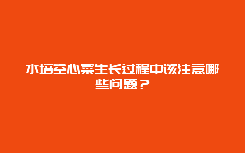 水培空心菜生长过程中该注意哪些问题？