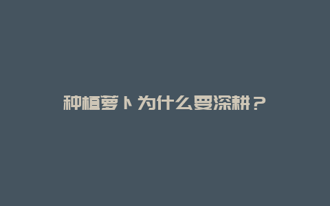 种植萝卜为什么要深耕？