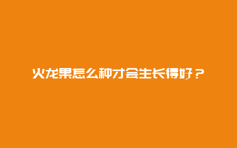 火龙果怎么种才会生长得好？