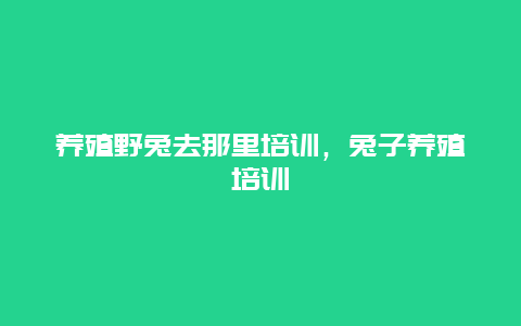 养殖野兔去那里培训，兔子养殖培训