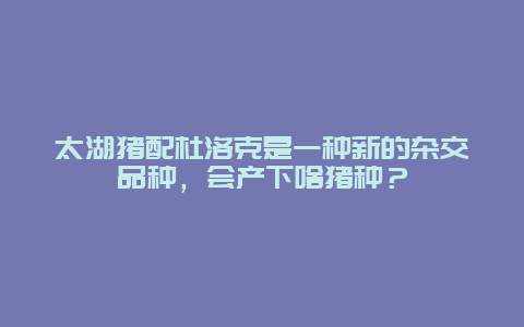 太湖猪配杜洛克是一种新的杂交品种，会产下啥猪种？