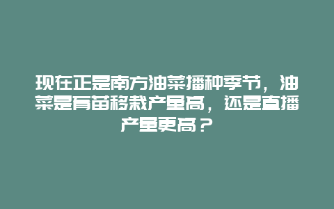 现在正是南方油菜播种季节，油菜是育苗移栽产量高，还是直播产量更高？