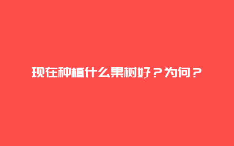 现在种植什么果树好？为何？