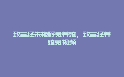 致富经朱艳野兔养殖，致富经养殖兔视频