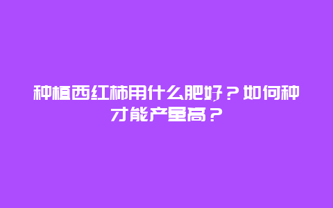 种植西红柿用什么肥好？如何种才能产量高？