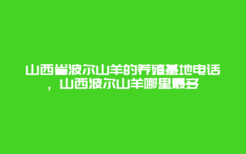 山西省波尔山羊的养殖基地电话，山西波尔山羊哪里最多