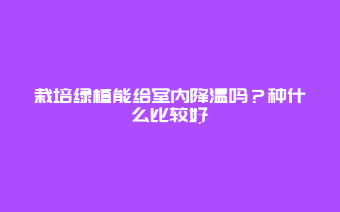 栽培绿植能给室内降温吗？种什么比较好