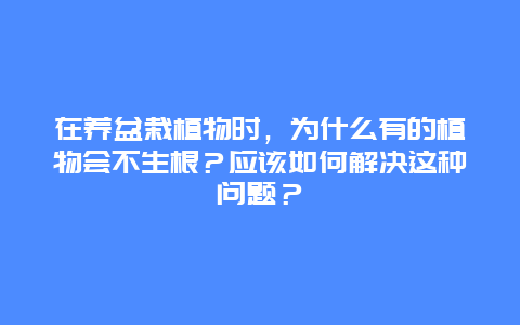 在养盆栽植物时，为什么有的植物会不生根？应该如何解决这种问题？