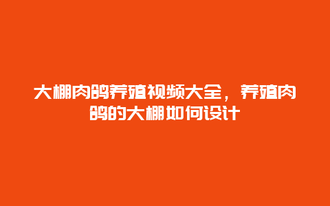 大棚肉鸽养殖视频大全，养殖肉鸽的大棚如何设计