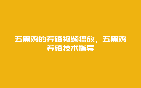 五黑鸡的养殖视频播放，五黑鸡养殖技术指导