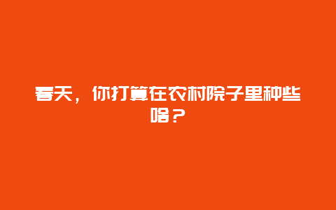 春天，你打算在农村院子里种些啥？