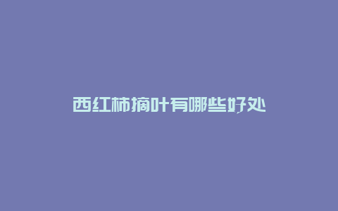 西红柿摘叶有哪些好处