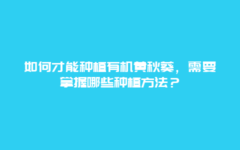 如何才能种植有机黄秋葵，需要掌握哪些种植方法？