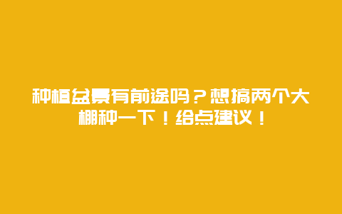 种植盆景有前途吗？想搞两个大棚种一下！给点建议！