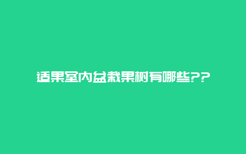 适果室内盆栽果树有哪些??