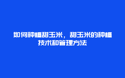 如何种植甜玉米，甜玉米的种植技术和管理方法