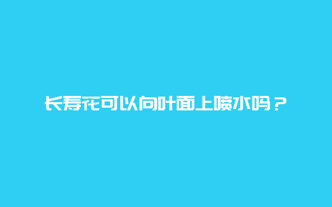 长寿花可以向叶面上喷水吗？