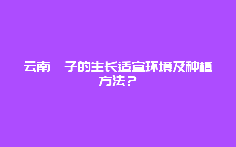 云南栒子的生长适宜环境及种植方法？