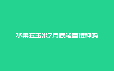 水果五玉米7月底能直接种吗