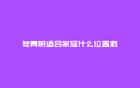 冬青树适合家庭什么位置栽