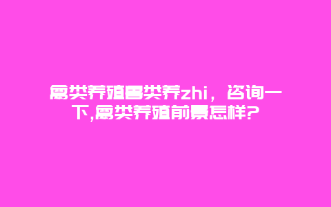 禽类养殖兽类养zhi，咨询一下,禽类养殖前景怎样?