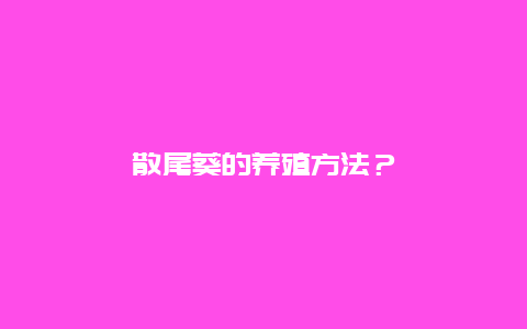 散尾葵的养殖方法？