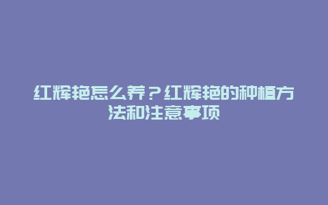 红辉艳怎么养？红辉艳的种植方法和注意事项