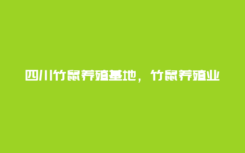 四川竹鼠养殖基地，竹鼠养殖业