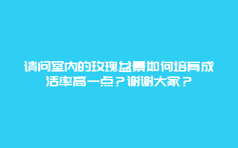 请问室内的玫瑰盆景如何培育成活率高一点？谢谢大家？