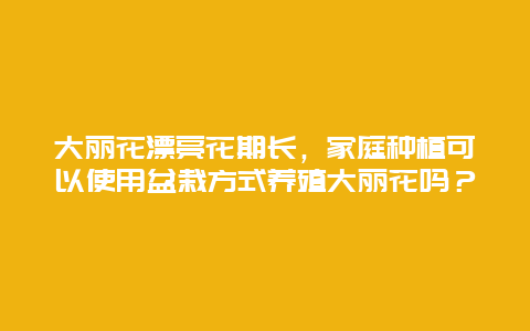 大丽花漂亮花期长，家庭种植可以使用盆栽方式养殖大丽花吗？