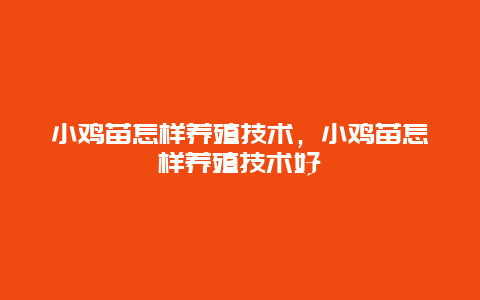 小鸡苗怎样养殖技术，小鸡苗怎样养殖技术好