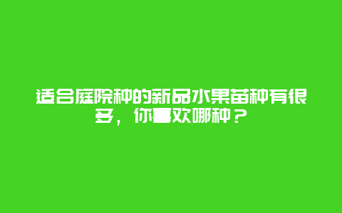 适合庭院种的新品水果苗种有很多，你喜欢哪种？