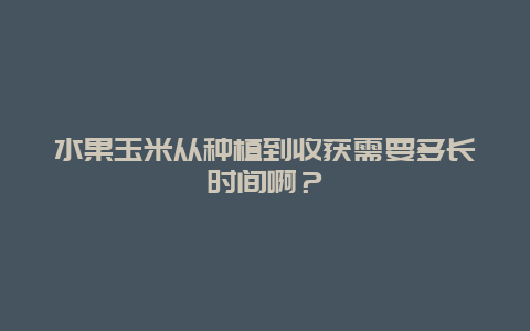 水果玉米从种植到收获需要多长时间啊？