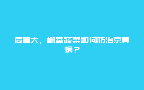 危害大，棚室蔬菜如何防治茶黄螨？