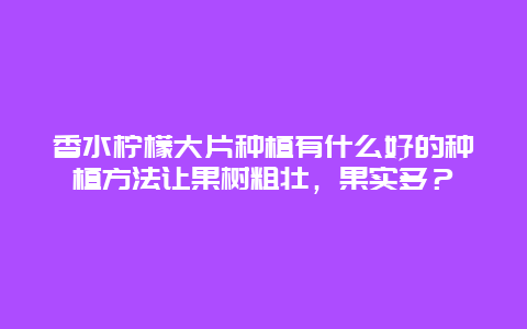 香水柠檬大片种植有什么好的种植方法让果树粗壮，果实多？