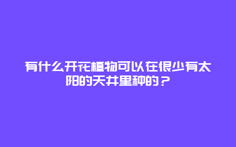 有什么开花植物可以在很少有太阳的天井里种的？