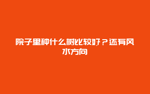 院子里种什么树比较好？还有风水方向