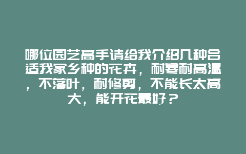 哪位园艺高手请给我介绍几种合适我家乡种的花卉，耐寒耐高温，不落叶，耐修剪，不能长太高大，能开花最好？