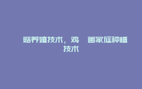 枞菇养殖技术，鸡枞菌家庭种植技术