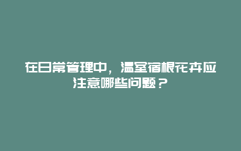 在日常管理中，温室宿根花卉应注意哪些问题？