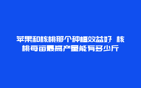 苹果和核桃那个种植效益好 核桃每亩最高产量能有多少斤