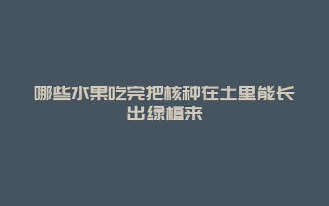 哪些水果吃完把核种在土里能长出绿植来