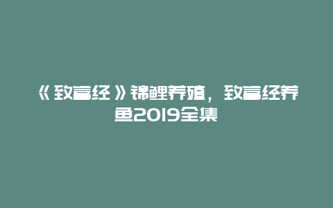 《致富经》锦鲤养殖，致富经养鱼2019全集