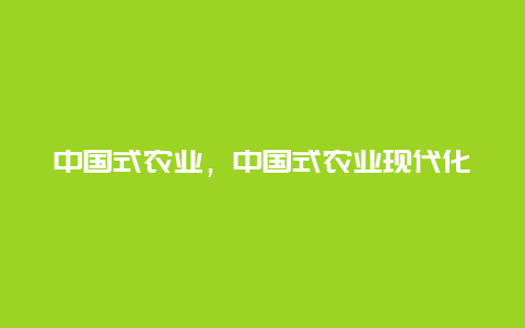 中国式农业，中国式农业现代化