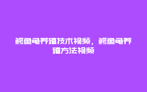 鳄鱼龟养殖技术视频，鳄鱼龟养殖方法视频