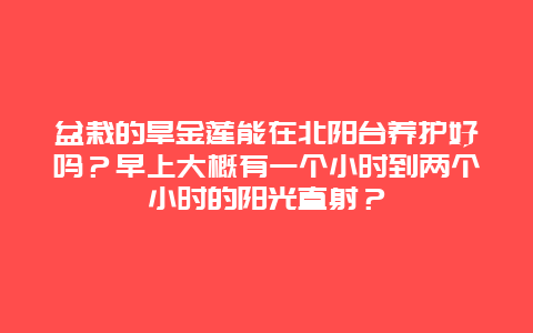 盆栽的旱金莲能在北阳台养护好吗？早上大概有一个小时到两个小时的阳光直射？