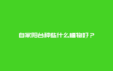 自家阳台种些什么植物好？