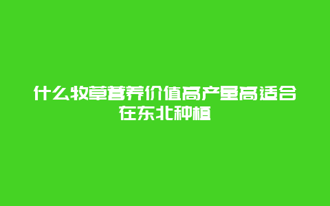 什么牧草营养价值高产量高适合在东北种植