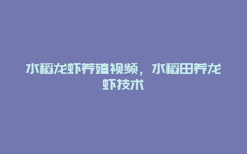 水稻龙虾养殖视频，水稻田养龙虾技术