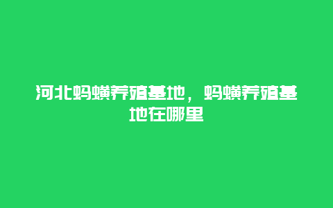 河北蚂蟥养殖基地，蚂蟥养殖基地在哪里